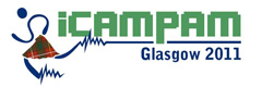 2011icampamlogo1